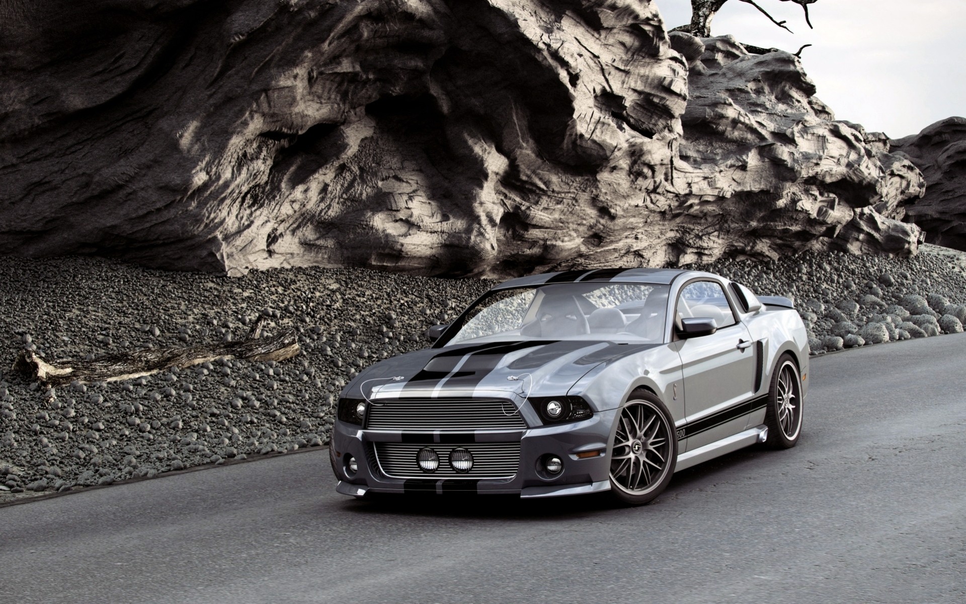 mustang gris voiture ford ordre