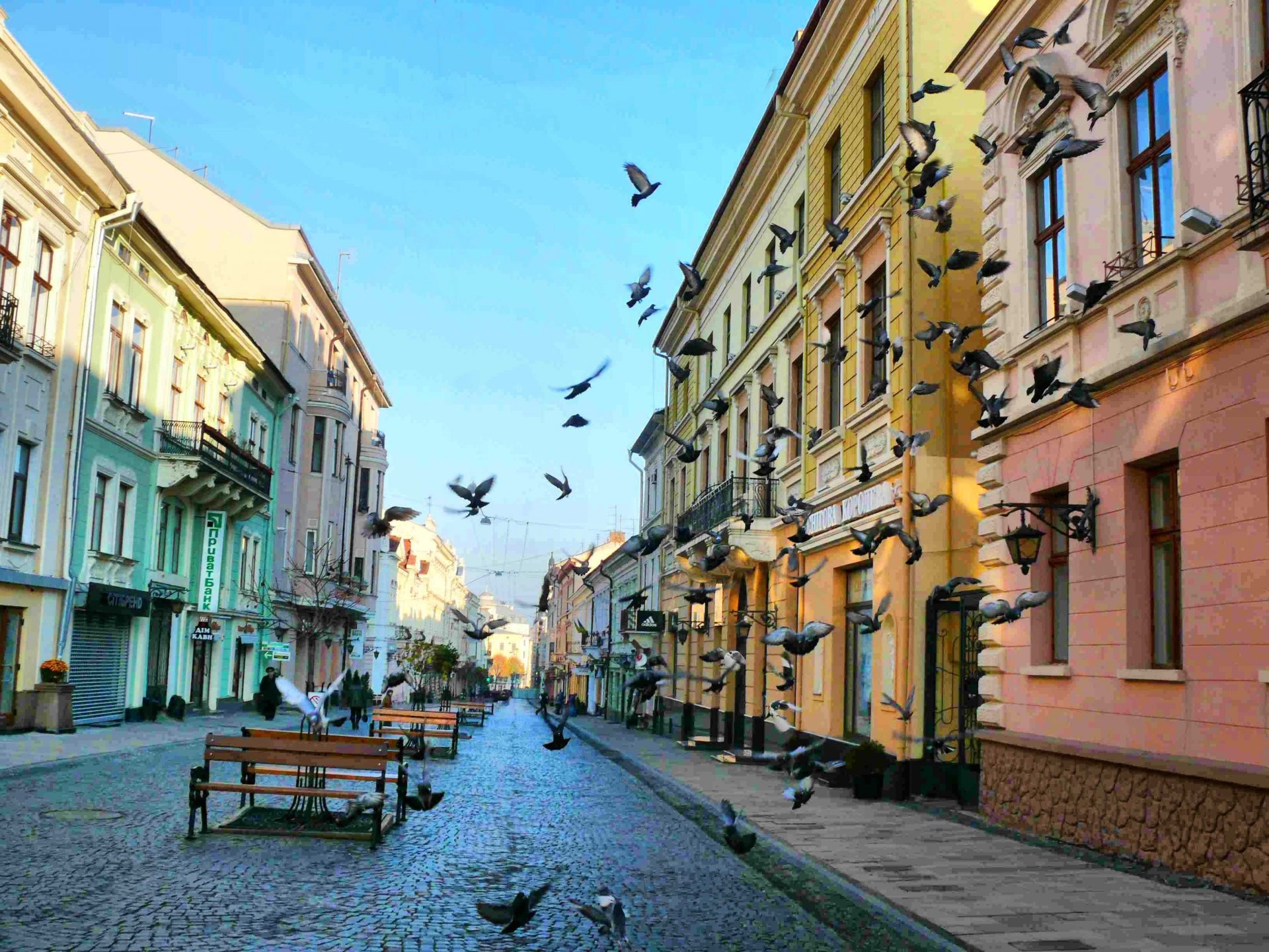 ukraine rue olga kobylyanskaya tchernivtsi rue oiseaux pigeons pavés rivière bancs maisons aleya architecture route