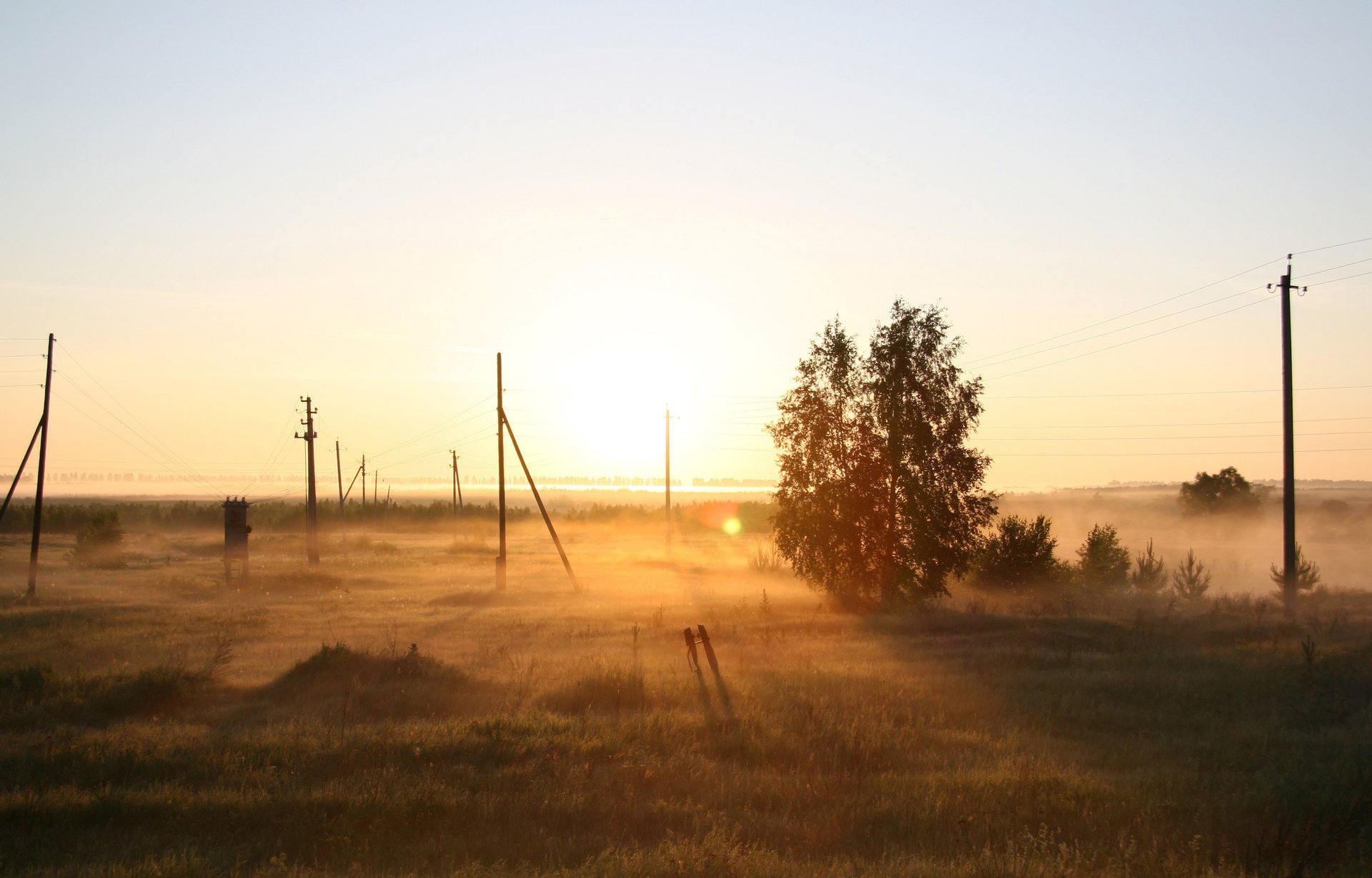 nature anna sun tree field morning russia fog dawn bush the sun posts the sky horizon the rays of the sun