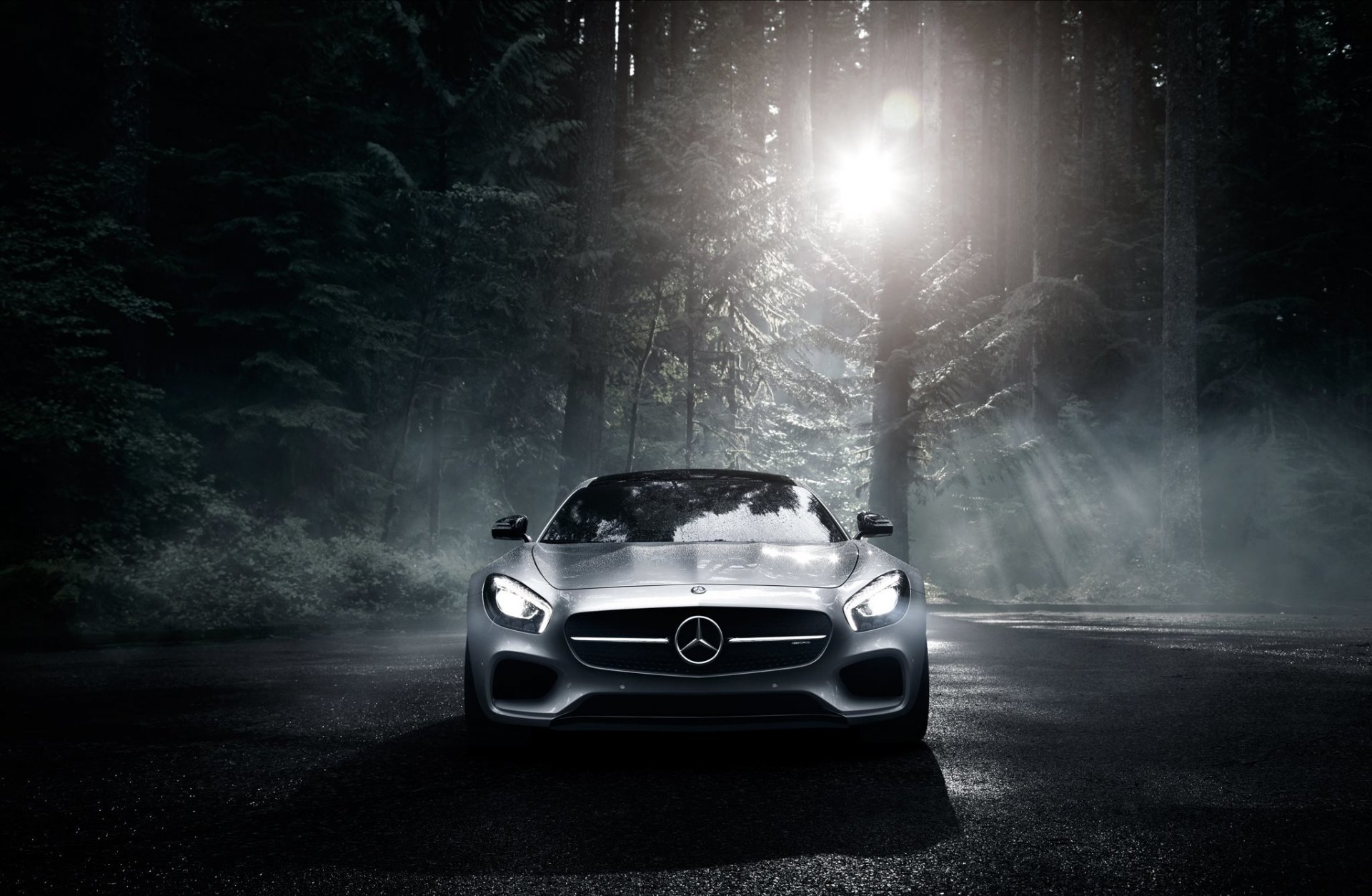 mercedes-benz amg gt s 2016 argent couleur soleil sombre forêt avant