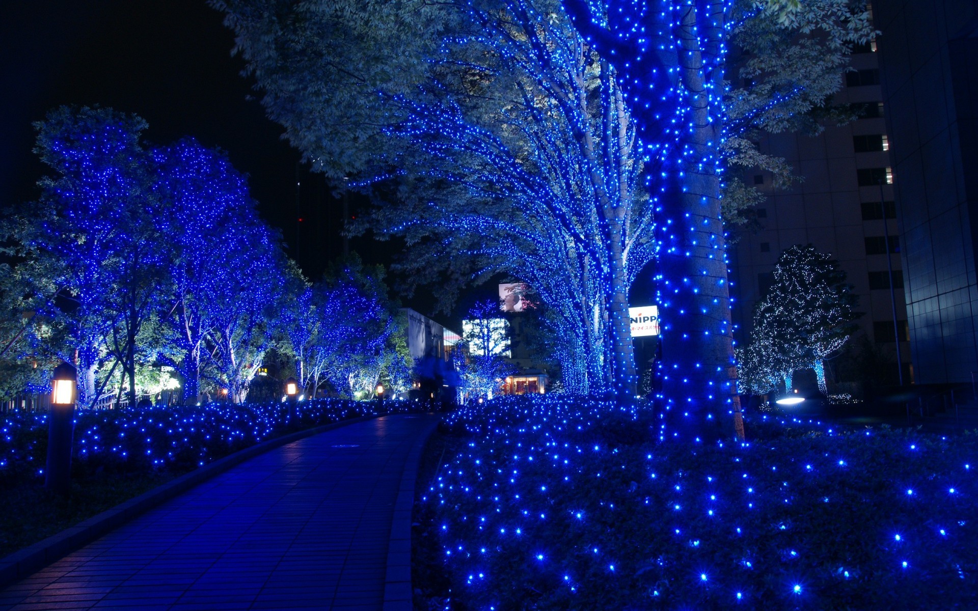 tokyo natale ghirlande