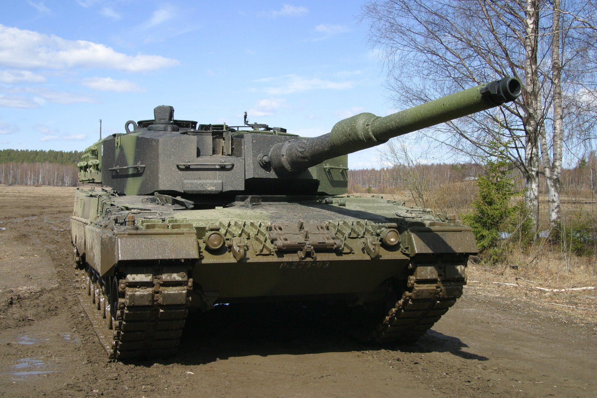 tank birch leopard military equipment russia forest trees field nature the barrel