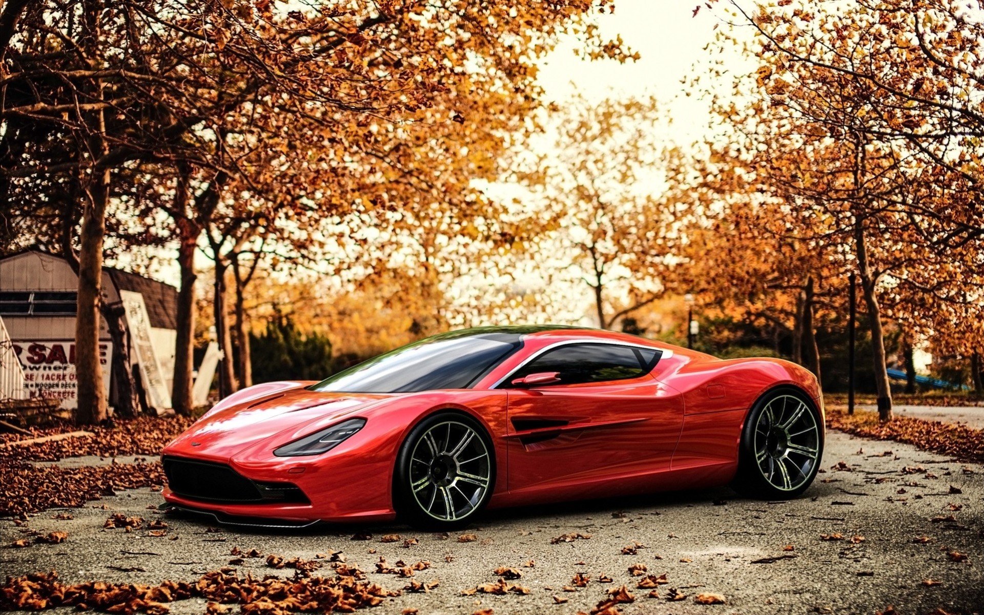 strada auto rosso foglia palme autunno