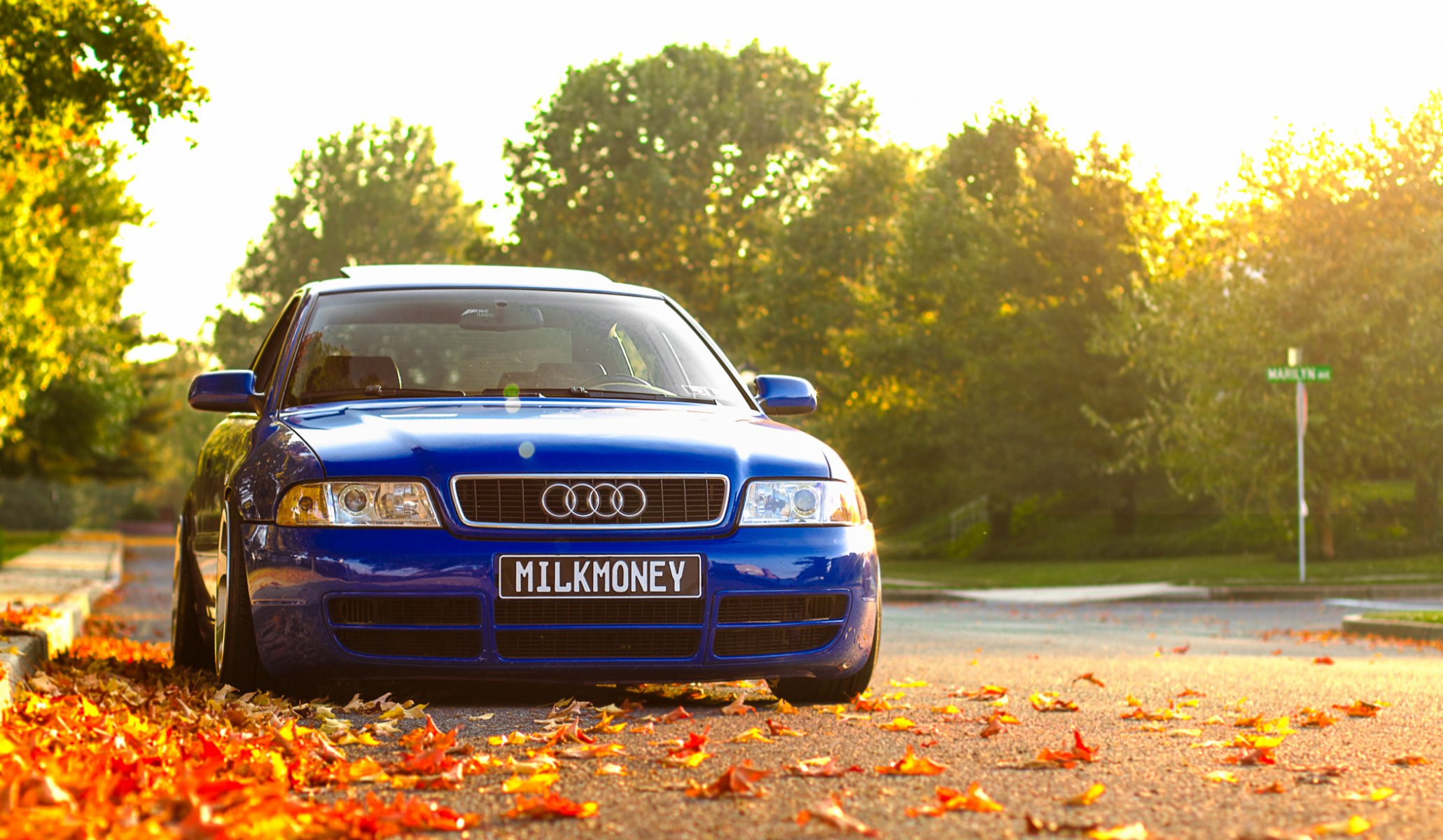 audi a4 blau audi blau vor herbst laub