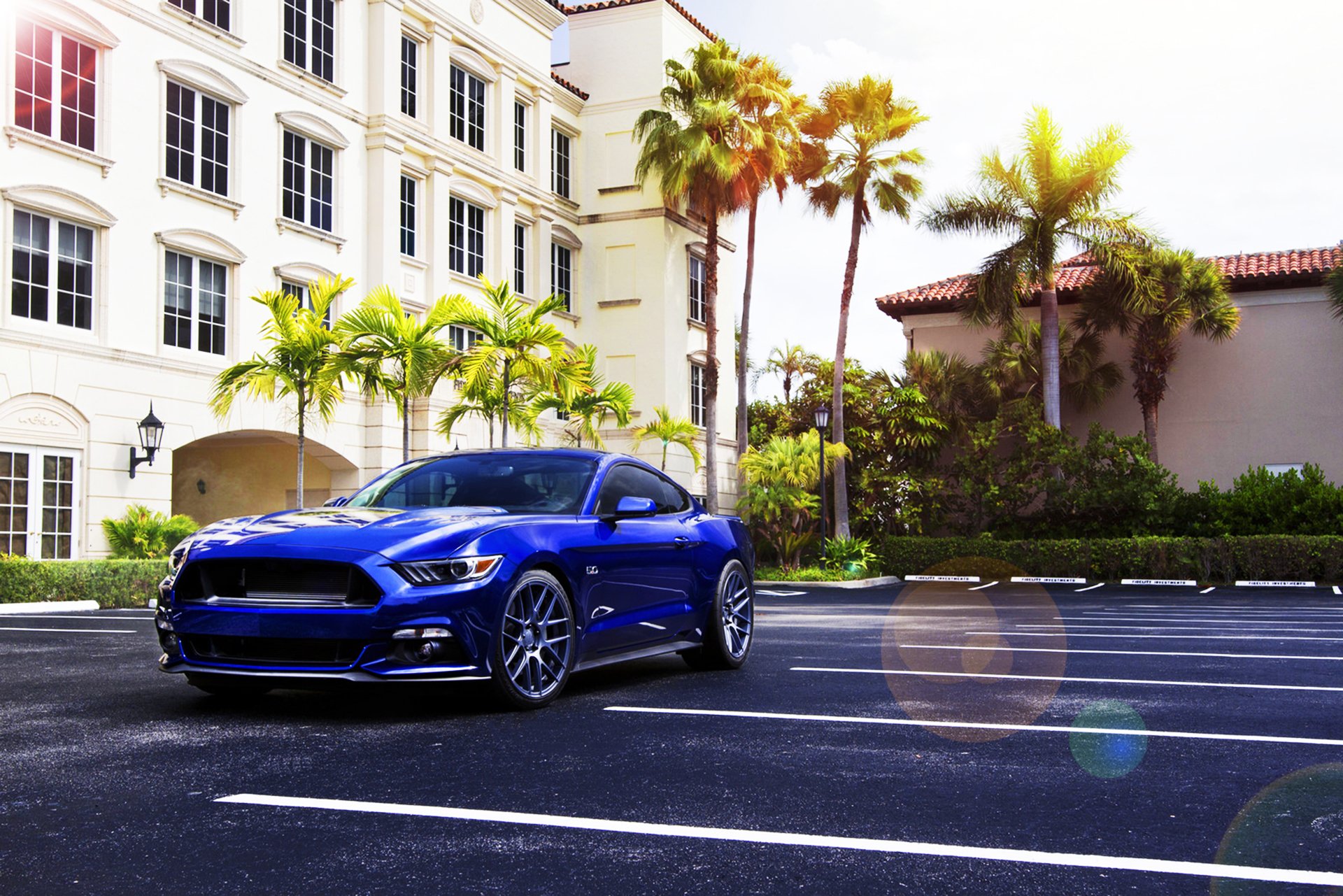 ford mustang 2015 blau muskel auto velgen räder sommer sonne vorne