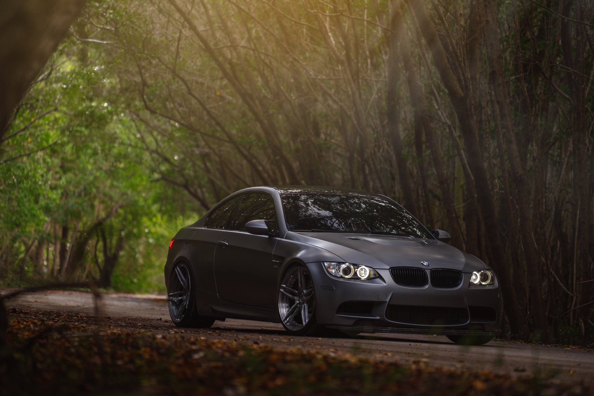 bmw m3 sedán e92 bmw coche bosque