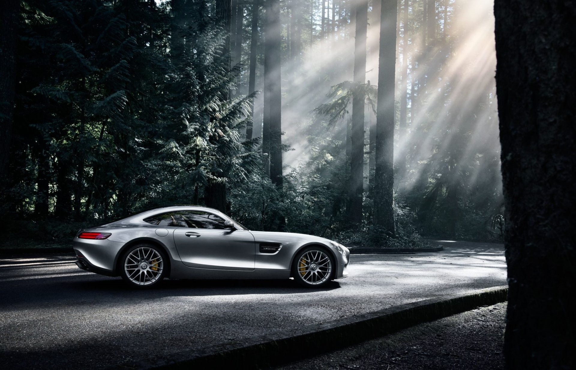 mercedes-benz amg gt s 2016 plata color sol oscuro madera lado