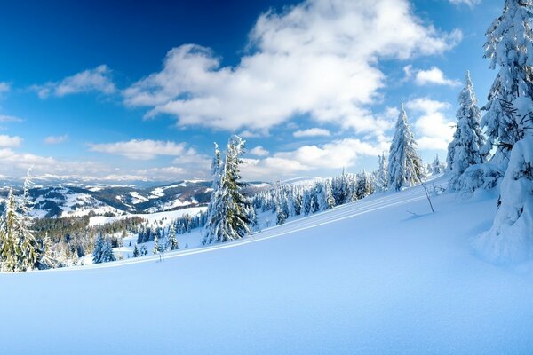 The slope of a snow-white mountain and a Christmas tree in the snow against a blue sky