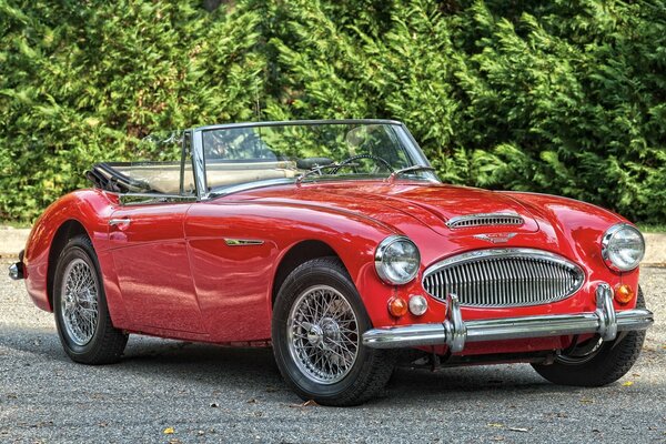 Austin Healy rosso del 1966