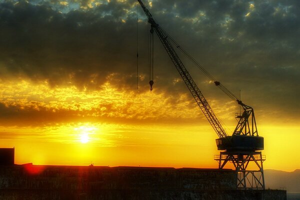 Crane on the background of sunset