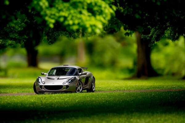 Spielzeugauto im echten Wald