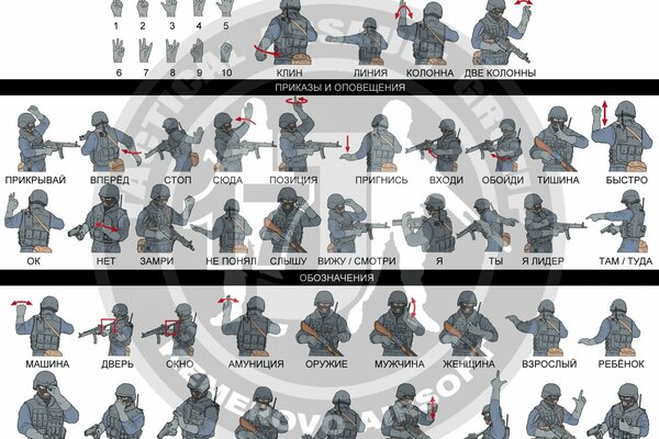 Ordini e designazioni per le forze speciali