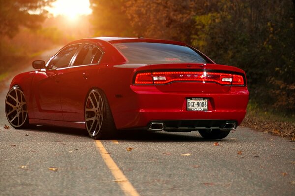 Hermosa vista trasera de coche rojo