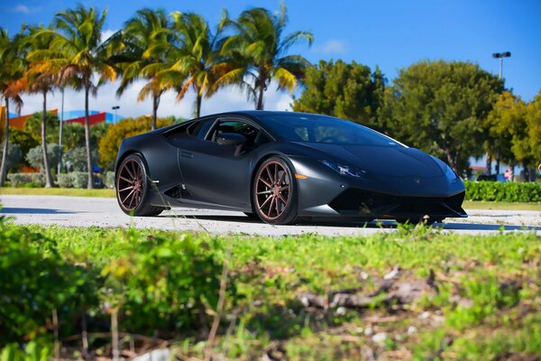 Lamborghini under the summer sun