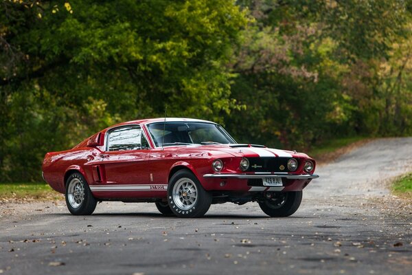 Voiture Ford couleur rouge sur fond de nature