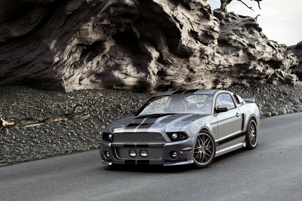 Voiture Ford Mustang gris