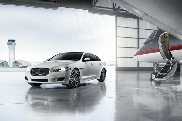 White jaguar in the hangar next to the plane