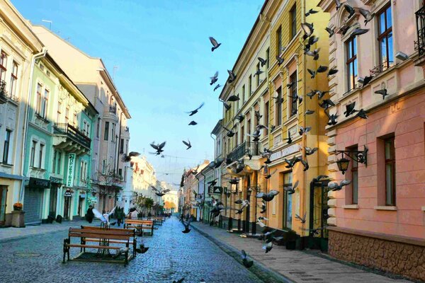 Una calle desierta y una ruidosa bandada de palomas