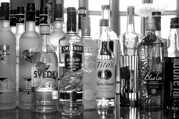 Botellas de vodka en blanco y negro