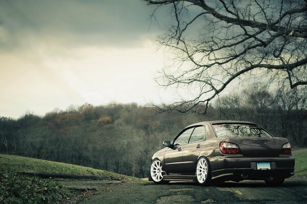 Cars on the background of an autumn forest