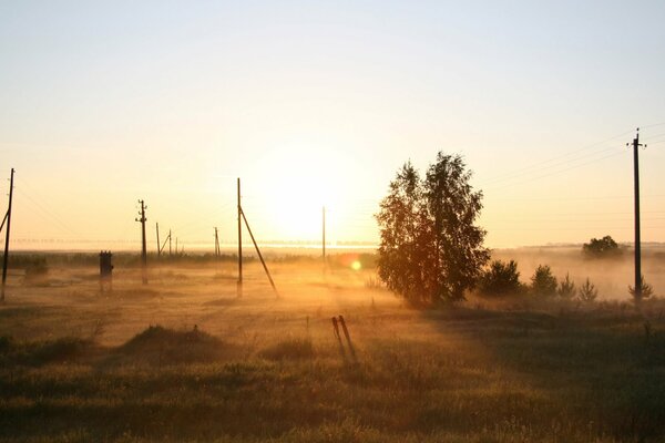 Raggi di sole all orizzonte del campo Russo in lontananza