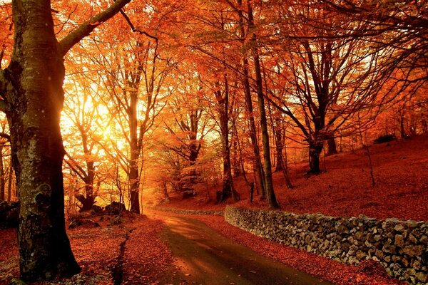 Red Park en otoño en medio de la puesta de sol