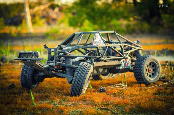 Modelo Buggy. fotografía macro del coche de juguete