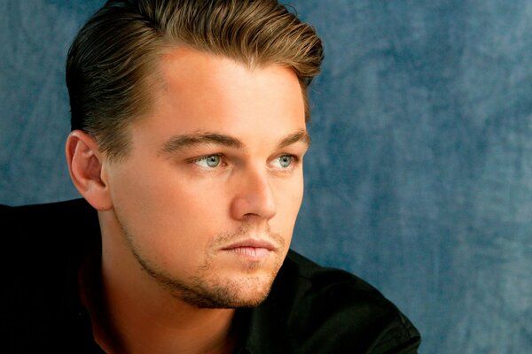 Leonardo DiCaprio looks thoughtfully