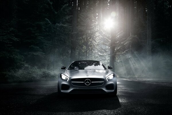 Mercedes-benz de color plateado en el bosque oscuro