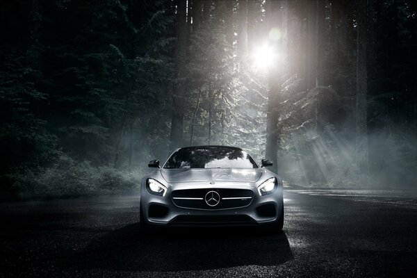 Mercedes-benz color argento nella foresta oscura