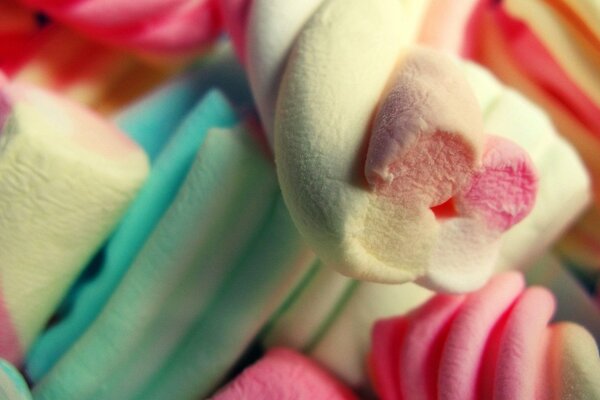 Macro photography of airy multicolored sweet marshmallow sticks