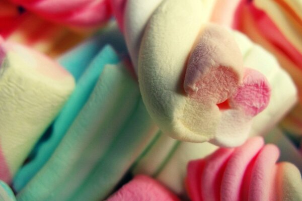 Photographie macro de bâtons de marshmallow colorés