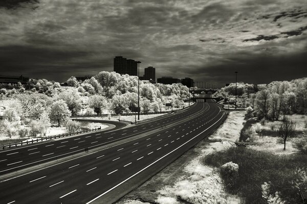 Fotografía en blanco y negro de la carretera