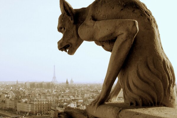Blick auf Paris und die fabelhafte Gargoyles