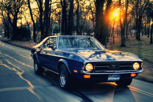 An old Ford. Beautiful photo of the car. Vintage car. Ford Mustang