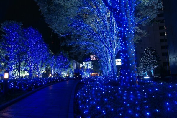 Aleja w świątecznej iluminacji w Tokio