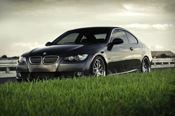 BMW noir se dresse sur l herbe verte