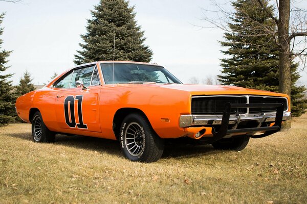 Leuchtend orange Dodge von 1969 auf einem Waldhintergrund