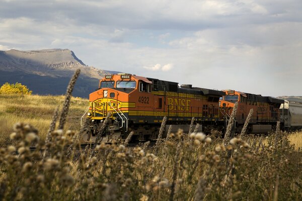 Train en mouvement sur rails de fer