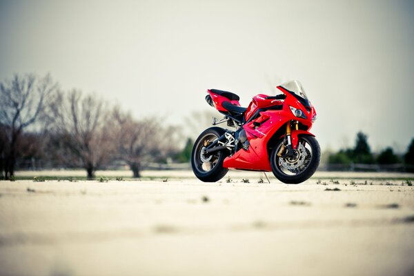 Red daytona 675 motorcycle on a landscape background