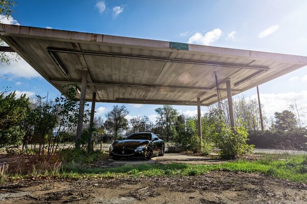 Maserati in nature standing under a huge canopy