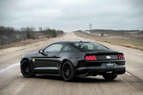 Ford Mustang sur la route posant