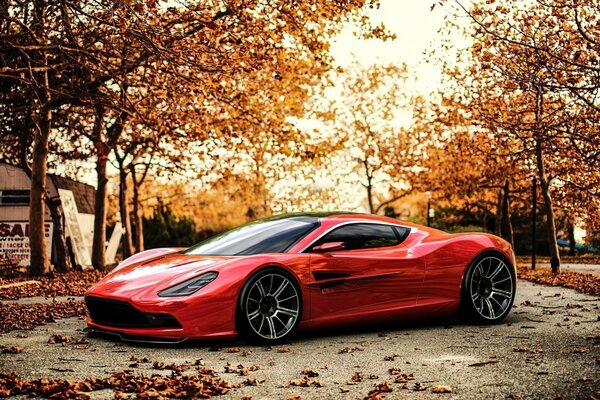 A red car on an autumn road