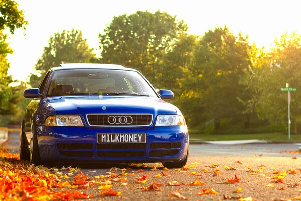 Автомобиль ауди синего цвета на фоне сухой листвы