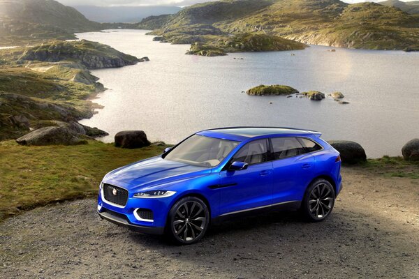 A blue jaguar stands against the background of a lake