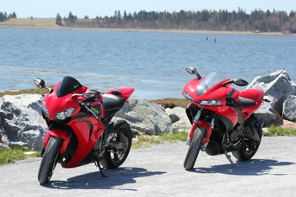 Zwei rote Motorräder auf Wasserhintergrund