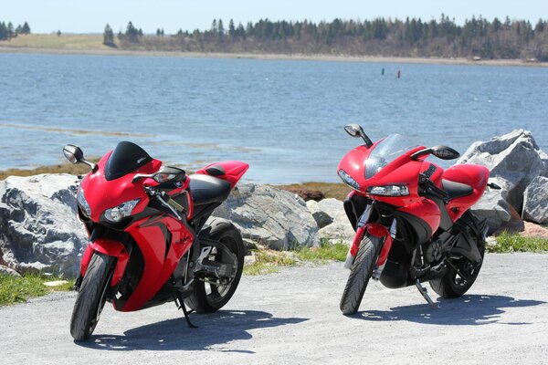 Two red motorcycles on the background of water