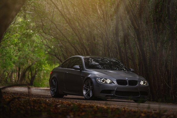 BMW se encuentra en el bosque bajo un árbol