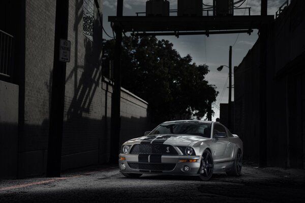 Ford Mustang Shelby GT500 dans une ruelle sombre