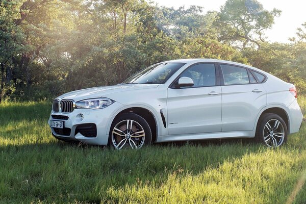 Bmw, X6 2015 foto en la naturaleza sol